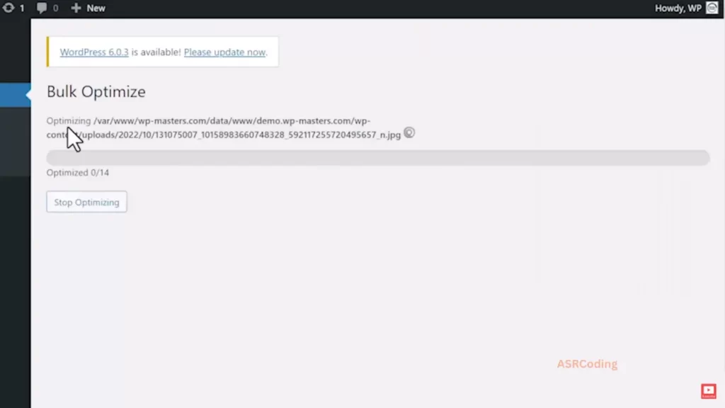 Autoptimize